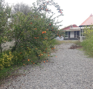 ویلا باغ اسخردار جاده پارک جنگلی نور